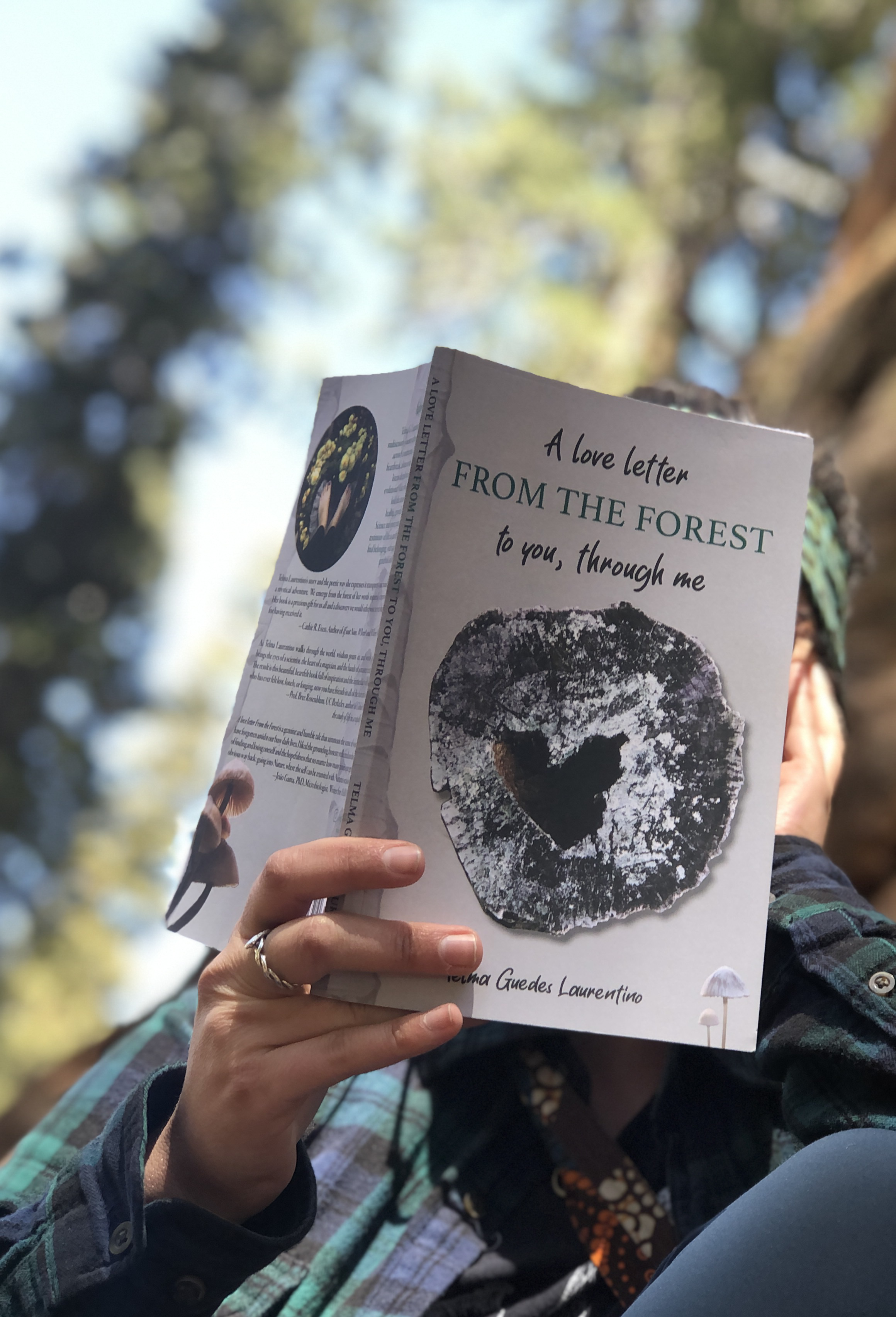 A love letter from the forest book