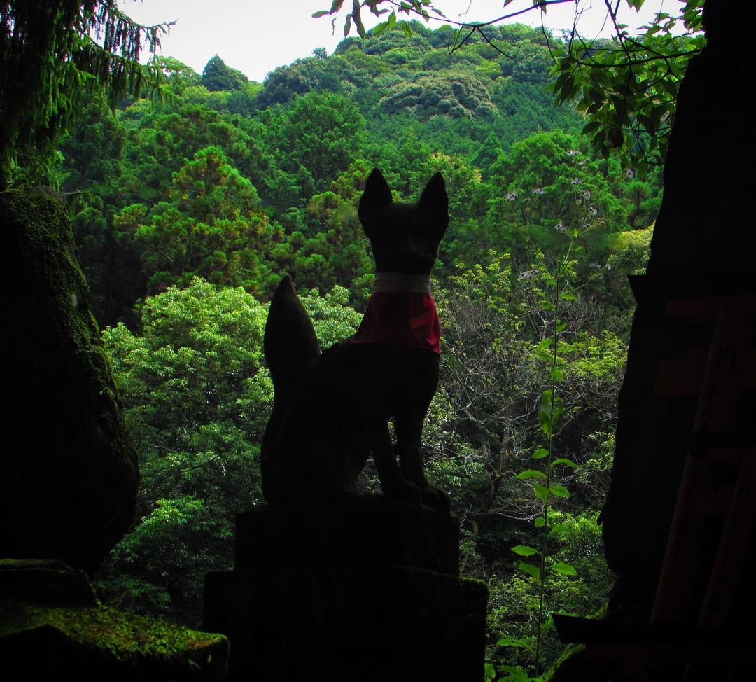 view of the florest fushimi inari